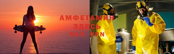 стаф Алзамай