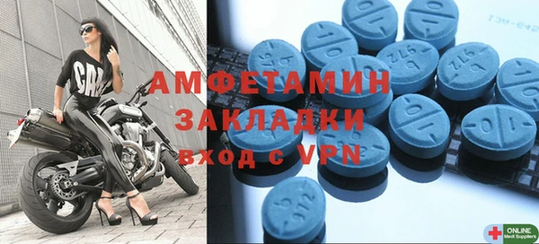 стаф Алзамай