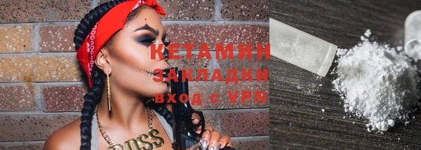 стаф Алзамай